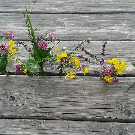 Farm stay Mussbachhof *