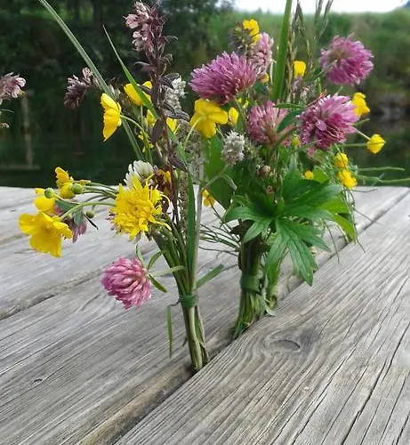 Mussbachhof Lantgård Saalfelden