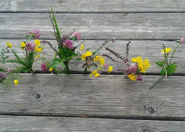 Séjour à la ferme Mussbachhof *