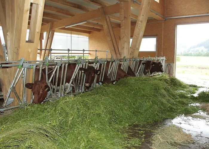 Mussbachhof * Saalfelden